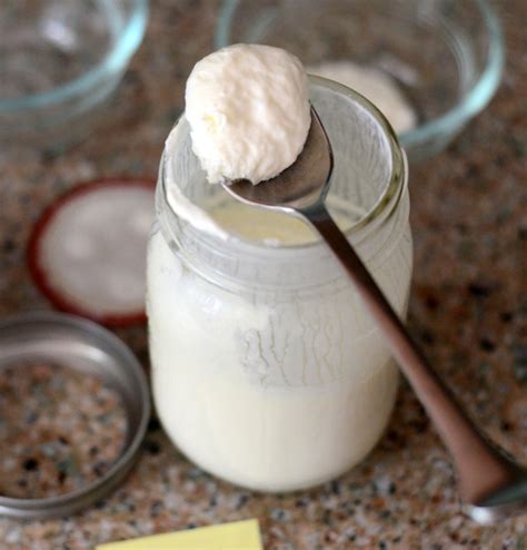 Homemade Sour Cream Recipe Just A Pinch Recipes