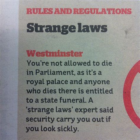 Strange Laws From Around The World News In France