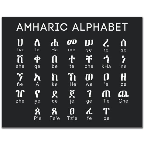11x14 Amharic Educational Posteramharic Alphabet Letters