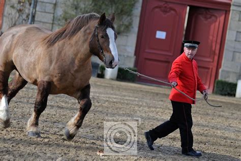 Photos Des Haras Nationaux De Lamballe Et Hennebont A Travers Lobjectif