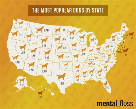 8 Shockingly Interesting Maps Of America Chaostrophic