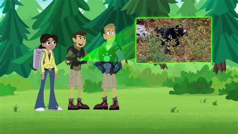 Wild Kratts Discover Pandas And More Bears Video