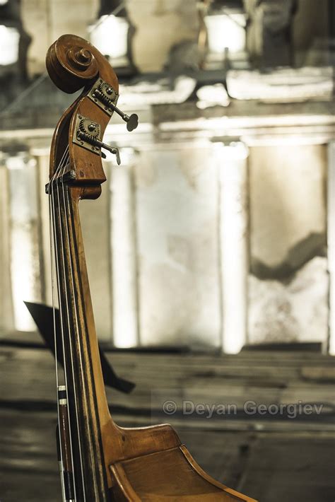 Contrabass On Classical Concert Contrabass On Classical Concert