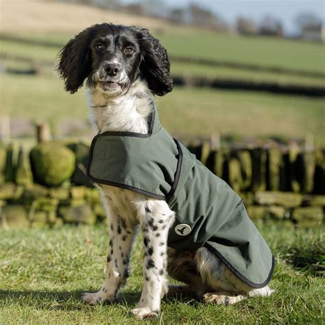 Dog And Field 2 In 1 Waterproof Drying Coat Gundog Coats