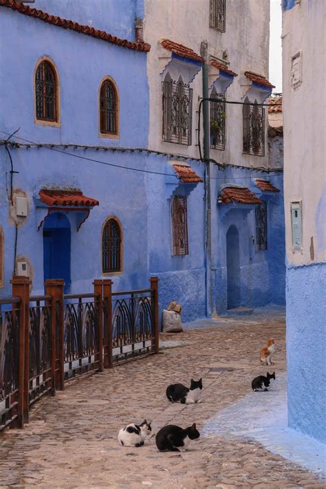Enchanting Chefchaouen Moroccos Blue City Is A Must See Travel Gem