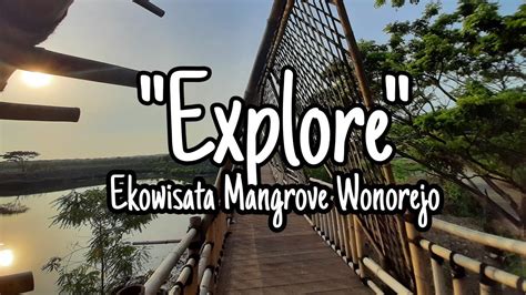 Explore Mangrove Wonorejo Terbaru Mangrove Wonorejo Terbaru 2020 Part
