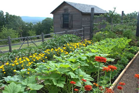 Summer Maintenance For Your Vegetable Garden Bonnie Plants