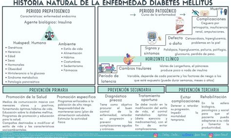 Historia Natural De La Enfermedad Diabetes Lorena Torres UDocz