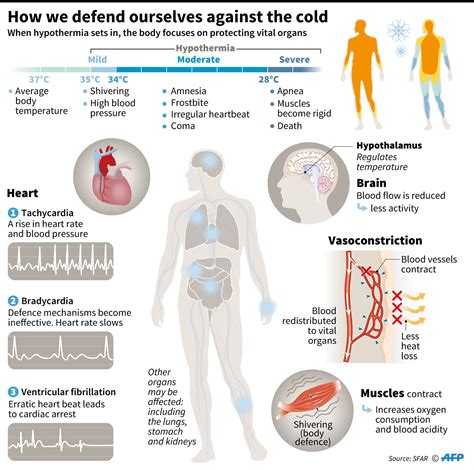 Look The Effects Of Cold On The Human Body