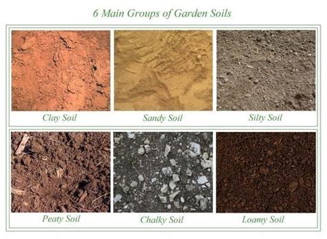 Everything You Need To Know About Garden Soil Types Mother Earth News