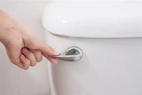 Why Your Drain Backups After Toilet Flushing My Buddy The Plumber
