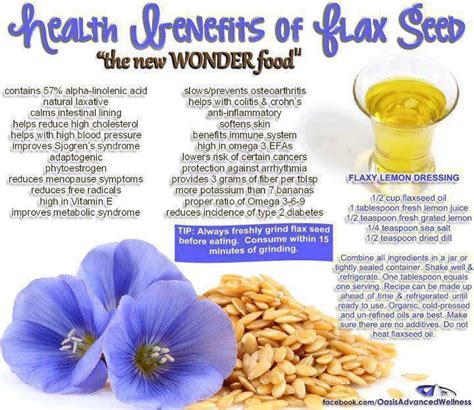 Flax Seed With Images Health Flax Seed Benefits Health And Nutrition