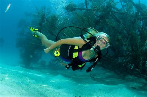 Nassau Discover Dive Course Bahamas Cruise Excursions