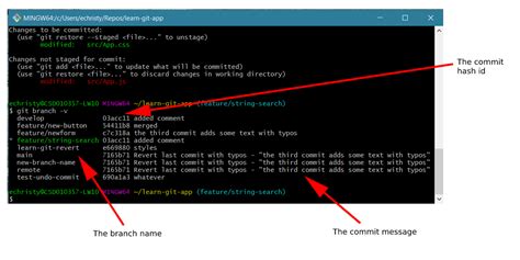 Git Last Commit How To View The Details Of Your Last Commit