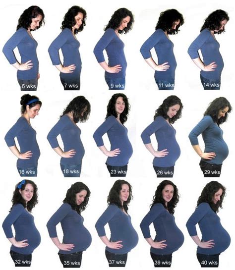 Baby Bump Grow Weekly Progression In 2020 Baby Bump Pictures Baby