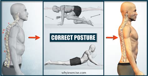 Correct Posture