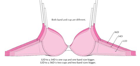 34dd Is Equivalent To What Size The Equivalent