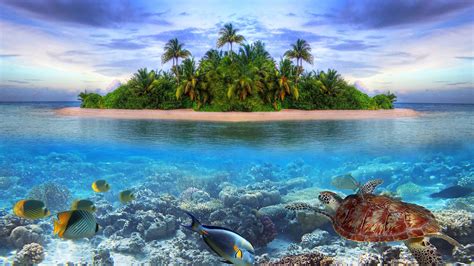 44 1080p Tropical Landscape Wallpapers Wallpapersafari