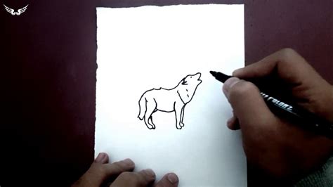 Bir Dakikada Karakalem Çizimleri Kurt Çizimi YouTube