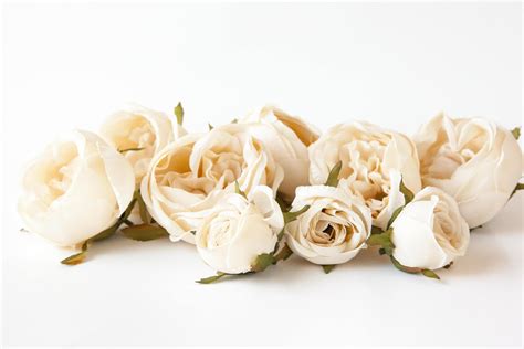 Set Of Small To Large Cabbage Roses In Cream Silk Artificial Flowers Read Description Item