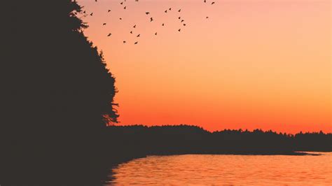 Download Wallpaper 1920x1080 Sunset Birds Lake Dark