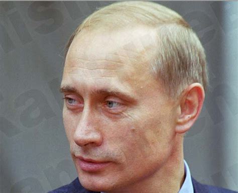 Путин Фото Родинка Telegraph
