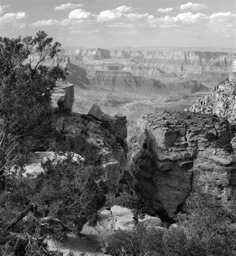 Original 1940 Antique Photo Grand Canyon Stock Photo Image Of Black