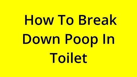 Solved How To Break Down Poop In Toilet Youtube