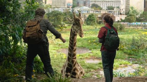 The Last Of Us Episode 9 What Do The Giraffes Mean Dexerto