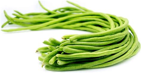Kacang panjang di indonesia sendiri sudah menjadi primadona sebagai sayuran ataupun sebagai lalapan. Pemupukan Kacang Panjang | KampusTani.Com
