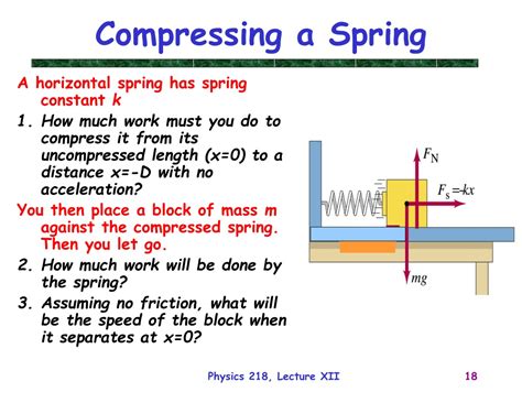 Ppt Physics 218 Lecture 12 Powerpoint Presentation Free Download