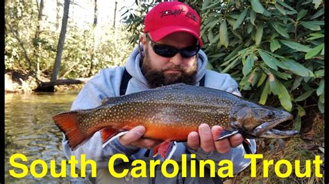 How To Catch Trout In South Carolina Youtube