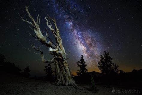California Milky Way You Can See The Milky Way Galaxy From Earth With