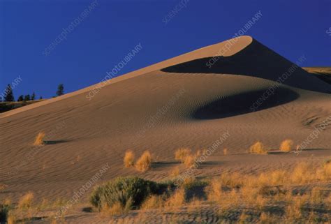 Farwell Sand Dune In British Columbia Canada Stock Image E6200361