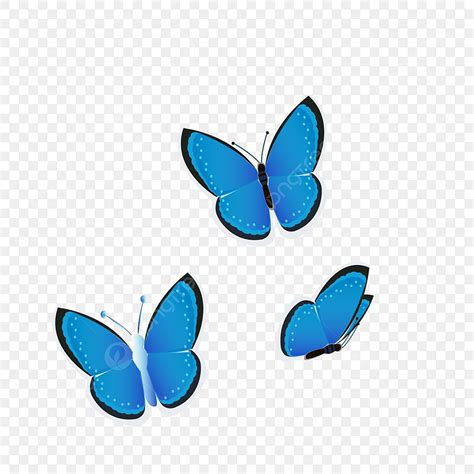 Flying Butterfly Silhouette Clipart Transparent Background Three Flying Blue Butterflies