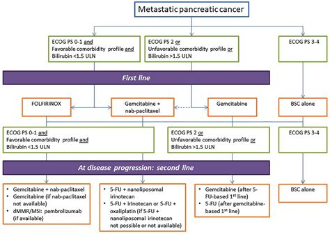 An Update On Treatment Options For Pancreatic Adenocarcinoma Aurélien