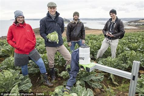 The Cauliflower Picking Robot Funded By The Eu That Is Set To Replace