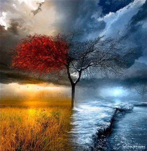 Breathtaking Changing Seasons By Alexiuss Pondly