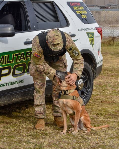 Dvids Images Us Army K9 And Military Police Image 43 Of 76