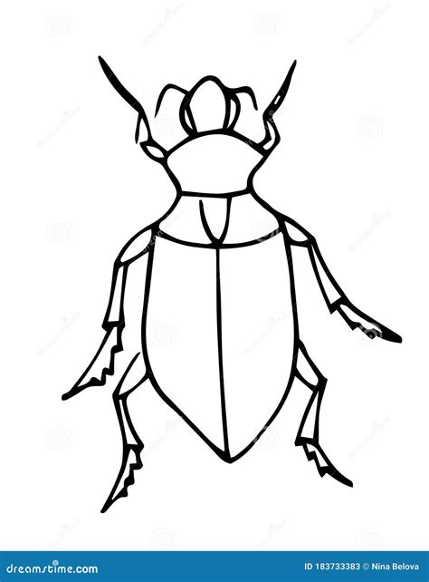 Bug Outline Vector Coloring Page For Kids Exotic Bug Collection Stock