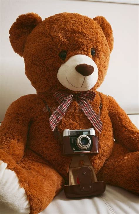 Teddy Bear With Vintage 35mm Camera Stock Image Image Of Nostalgia Object 103745287