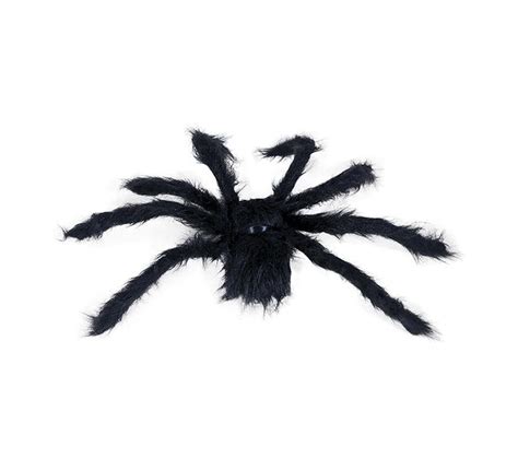 Araignée Poilue Noire De 50 Cm
