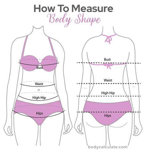 Body Shape Calculator Instantly Find Out Your Body Shape