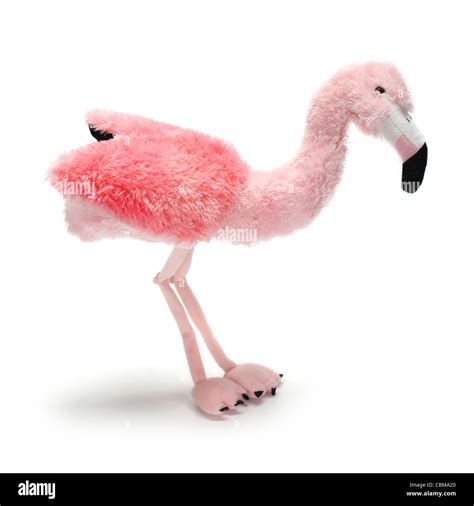 Pink Flamingo Soft Cuddly Toy Cut Out Stock Images And Pictures Alamy