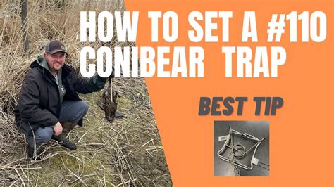 How To Set A Conibear Trap Best Tip For 110 Conibear Youtube