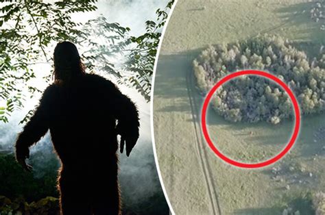 Possible New Sighting Of Bigfoot Running Into A Forest In The Us