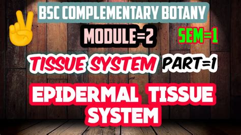 Bsc Complementary Botanyepidermal Tissue Systemtissue System Part1