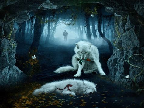 Here you can find the best cool wolf wallpapers uploaded by our community. Cool Wolf Wallpapers - Wallpaper Cave