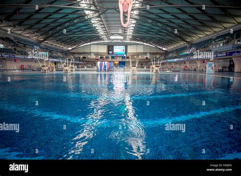 Diving At Ponds Forge In Sheffield England Uk Stock Photo Alamy