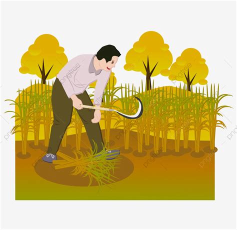 Harvest Clipart Harvest Crop Harvest Harvest Crop Transparent Free For